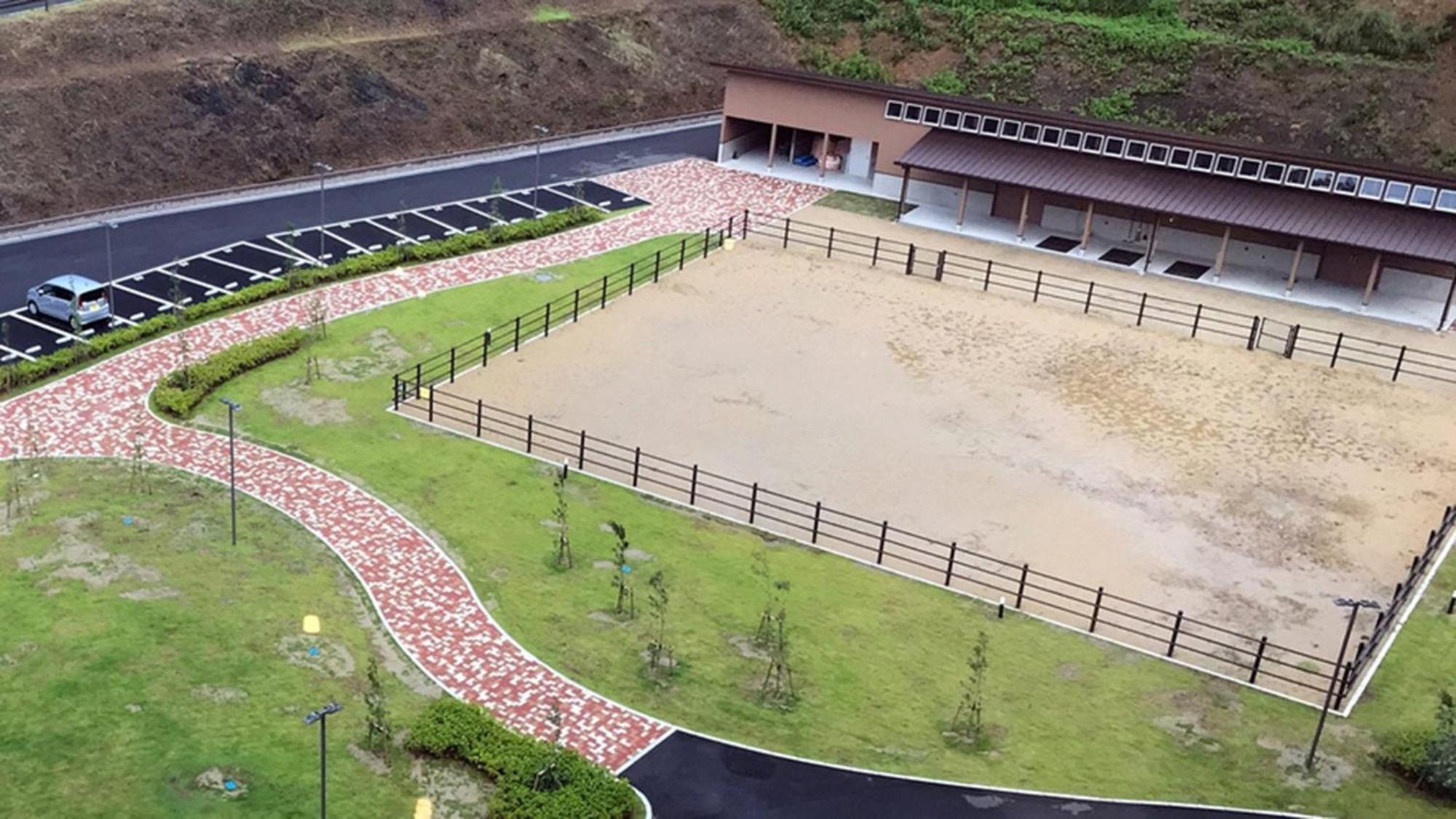 Toyoko Tsushima Hitakatsu สึชิมะ